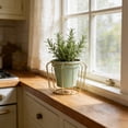 thumbnail image 4 of Jardinera hidropónica con soporte metálico para botellas de vino – Terrario de plantas de escritorio de hierro para decoración del hogar, verde rosa, 4 of 6