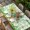 Green Gold Light Green, variant on St. Patrick's Day Table Cloths for 6 Foot Rectangle Tables, Spring Botanical Clovers Coin Green Check Patio Waterproof Elastic Fitted Tablecloths, Washable Rectangular Table Cover for Camping