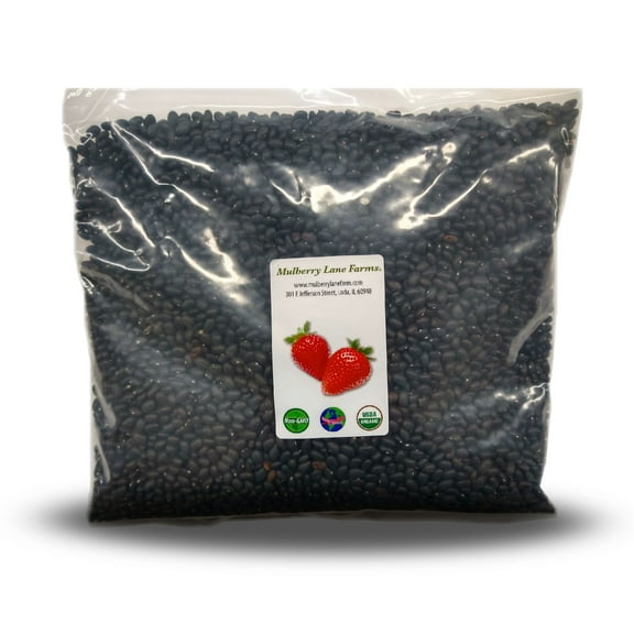 Black Turtle Beans 10 Pounds (Ten lbs) USDA Certified Organic and Non-GMO, Bulk by Mulberry Lane Farms