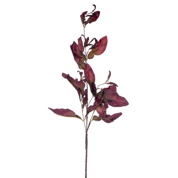 Vickerman 44.5" Plum Artificial Dried Pomelo Leaves Spray, 2 per bag.