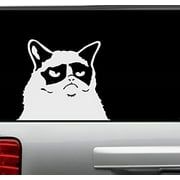 Decal ~ GRUMPY CAT ~ WALL DECAL, or Window Decal 8" x 10"
