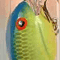 Chartreuse Blue Back