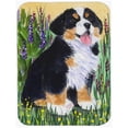 thumbnail image 1 of Carolines Treasures SS8215LCB Bernese Mountain Dog Glass Cutting Board - Large, 1 of 1