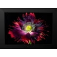 thumbnail image 2 of Frates, Dennis 14x11 Black Modern Framed Museum Art Print Titled - Close up of pooy flower, 2 of 5
