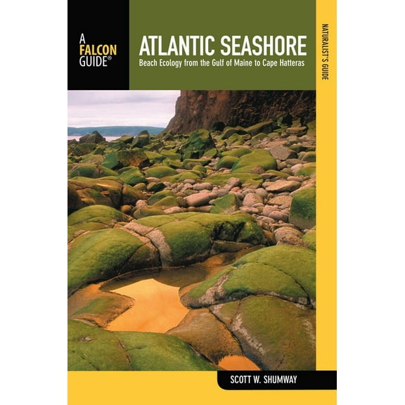 Naturalist's Guide Naturalist's Guide to the Atlantic Seashore, (Paperback)