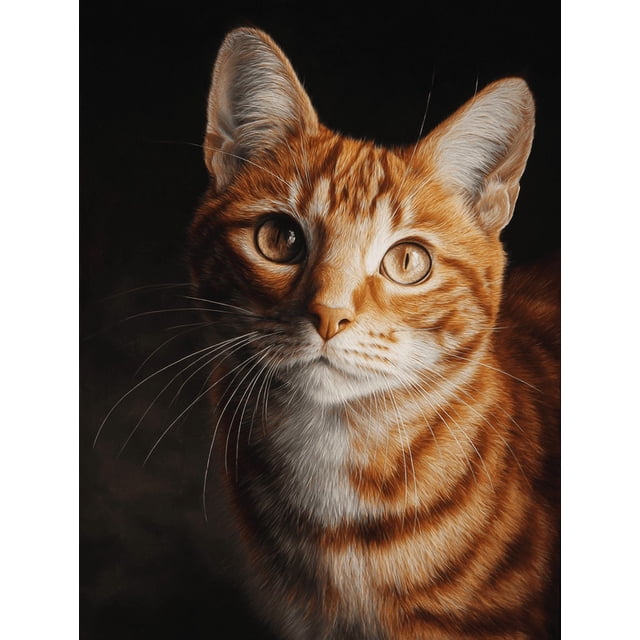 Qisvanset Ginger Tabby Cat Canvas Print 12x16 Inch Kitchen Hallway Art