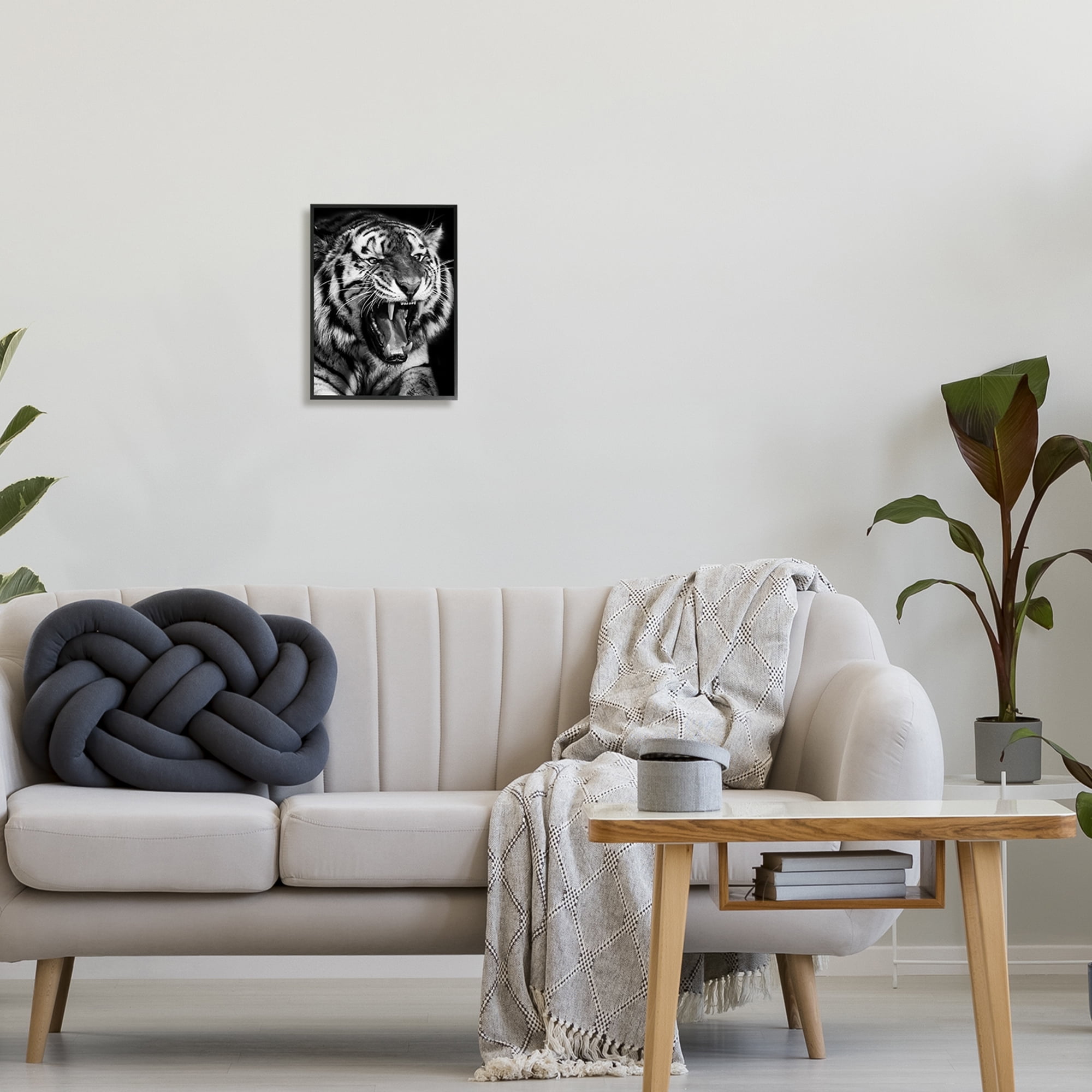 Stupell Industries Tiger Roaring Photography Animals & Insects Photography Black Framed Art Print Wall Art, 11 x 14