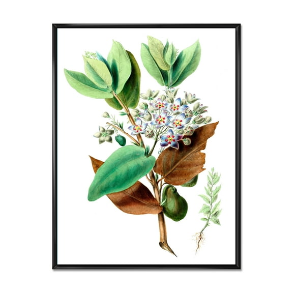 Designart 'Ancient Plant Life XXVIII' Traditional Framed Canvas Wall Art Print