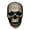 Grey, variant on ITFABS Halloween Horror Mask, Realistic Creepy Skull Mask for Teens Adults