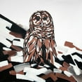 thumbnail image 2 of Atelier B Art Studio 20x20 Black Ornate Wood Framed with Double Matting Museum Art Print Titled - TAWNY OWL, 2 of 4