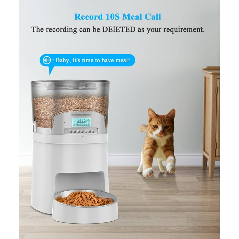 Interactive Toy & Food Dispenser – Mojito's Pet Market