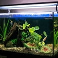 thumbnail image 5 of Acuario, decoración de pecera, conjunto de árbol de plantas de acuario, decoración de pecera, 5 of 5