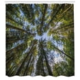 thumbnail image 3 of Ambesonne Nature Shower Curtain, Jungle Moss Forest Trees, 69"Wx84"L, Forest Green Sky Blue, 3 of 3