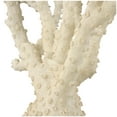 thumbnail image 4 of 26" x 23" Cream Polystone Coral Sculpture with Clear Acrylic Base, by DecMode, 4 of 8