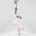 thumbnail image 2 of Juguetes Para Perro Importadora La Merced Cordones Mordederas Paquete 5 Pz Altamente Resistente, 2 of 7