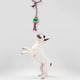 thumbnail image 2 of Juguetes Para Perro Importadora La Merced Cordones Mordederas Paquete 5 Pz Altamente Resistente, 2 of 7