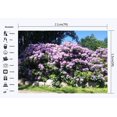 thumbnail image 2 of Telón de fondo ABPHQTO 150x220cm Fotografía Boda Flores frescas Árboles Sol Cielo azul Naturaleza, 2 of 2