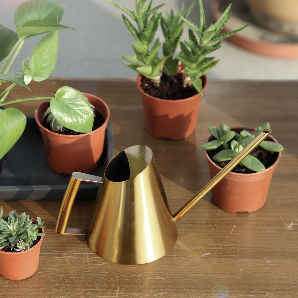 Garden Watering Can With Precise Long <span Style="background:red"></span> Spout, Perfect For Delicate Plants  Flowers
