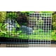 thumbnail image 5 of 1 juego de placa de celosía de panel de aislamiento de acuario que se puede empalmar suministros de acuario (transparente 30x15cm 4 piezas + ventosa negra 4 piezas), 5 of 8