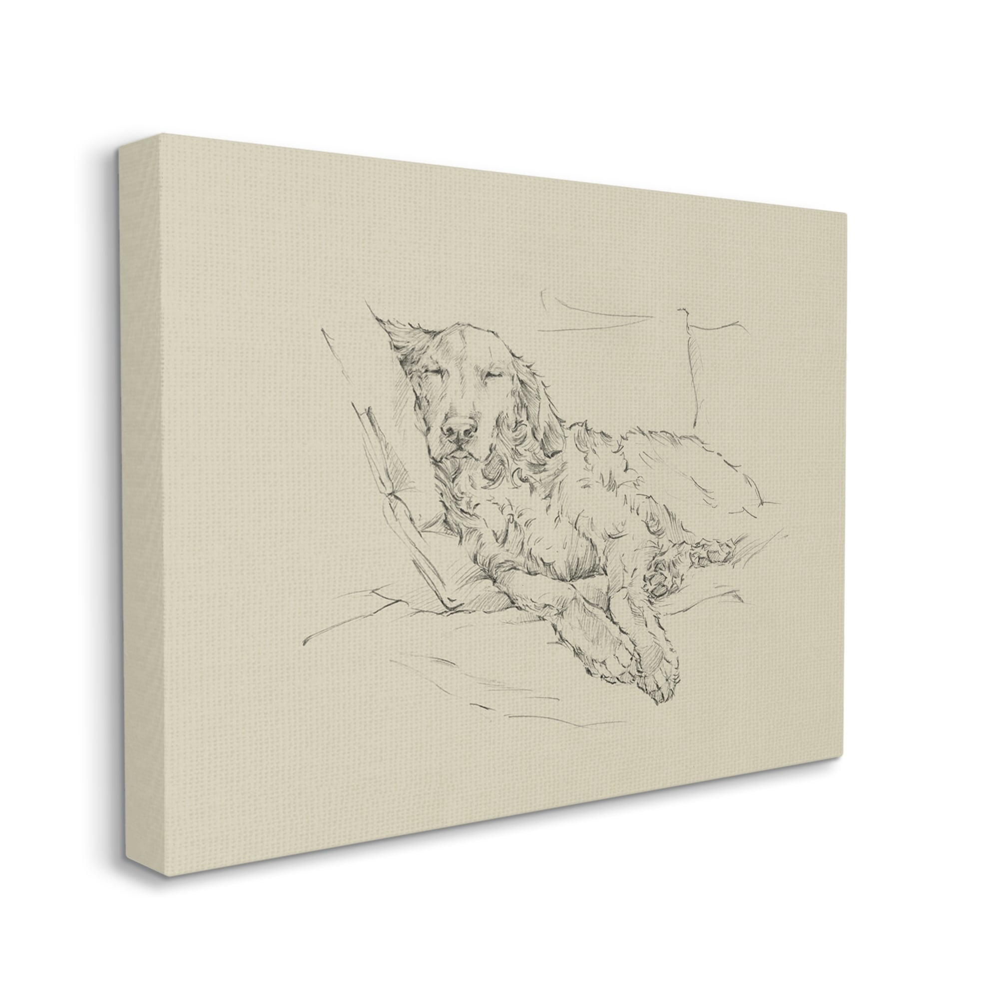 Stupell Industries Fluffy Retriever Napping Cushions Casual Monochromatic Dog Sketch,40 x 30, Design by Ethan Harper