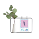 thumbnail image 1 of Identificación de la entrada del padre Jarrones colgantes de vidrio transparente Decoración Botella, 1 of 4