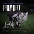 thumbnail image 6 of Tiki Cat After Dark Soft Pate Wet Cat Food, Chicken, Chicken Liver & Quail Recipe, 5.5 oz. Can, 6 of 8