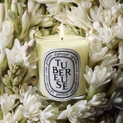 Diptyque Unisex Tubereuse Scented Candle 2.4 oz Fragrances 3700431403827