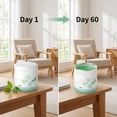 thumbnail image 5 of Air Purifying Gel, Odor Removal Freshener, Natural Active Decomposition, Slow-Release Protection, Safe 24/7 Odor Relief for Home, Car, Office, Long-Lasting Air Purifier, 5 of 5