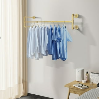  DR.IRON Gold Pipe Clothing Rack Garment Rack with Bottom Shelf  Heavy Duty Clothes Rack Hanging Rack Closet Organizer for  Bedroom,Retail(Gold) : Home & Kitchen