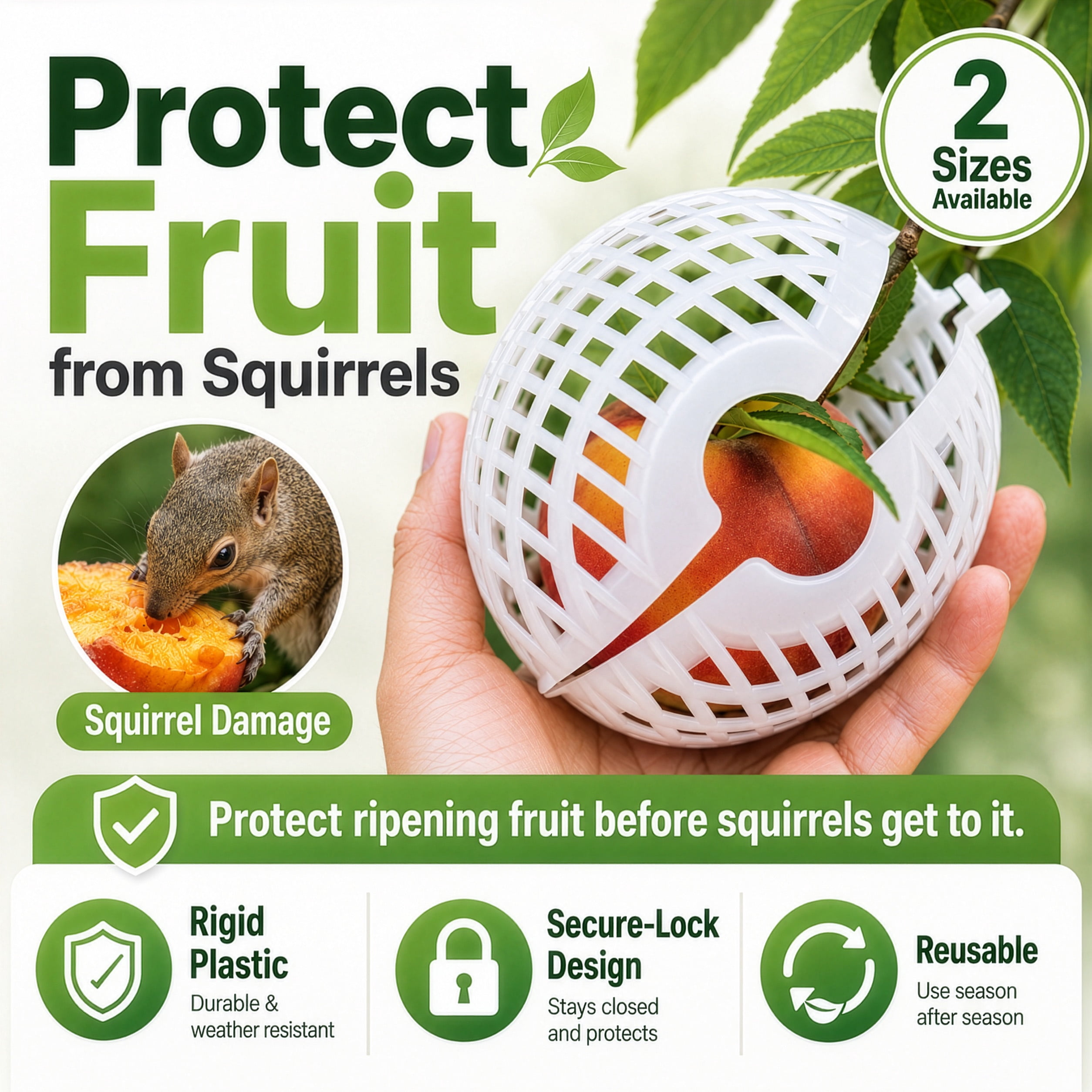 Rooted Promise 12 Pack Small Fruit Protection Cages 4 x 5 inch, Perfect for protecting fruit trees - Made in the USA