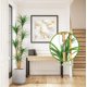 thumbnail image 5 of 6ft artificial indoor de altura dracaena trees - faux tree con natural wood trunk, moss y lifelike yucca leaves para home, oficina, yard & patio decor, 5 of 7