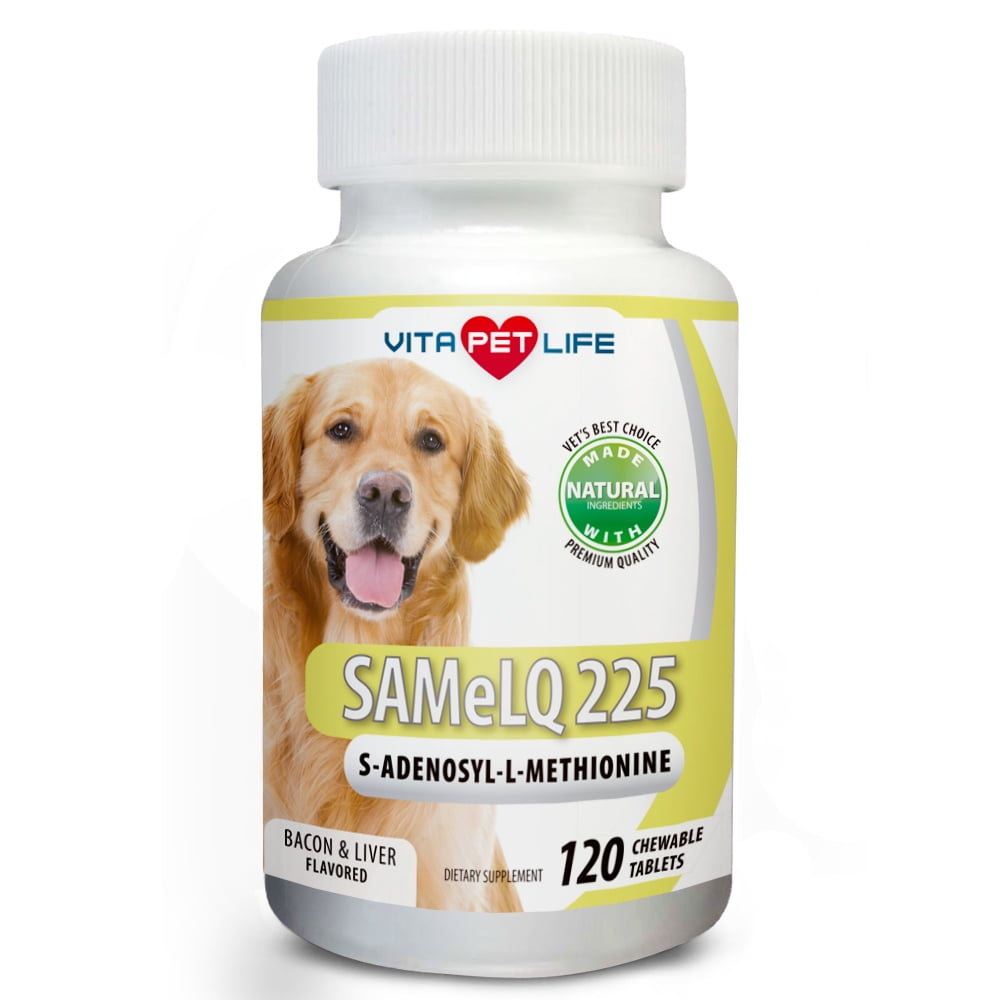 Same for Dogs 225, SAdenosyllMethionine, Promotes Cognitive Brain