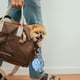 thumbnail image 5 of Mini Llavero Con Charm Para Coche Y Accesorio Para Bolso (Pompon De Moda), 5 of 6