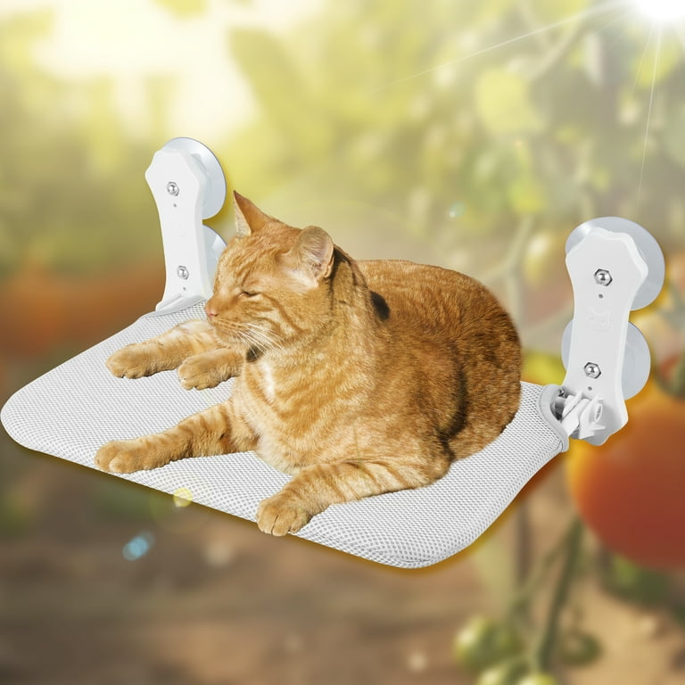 Cat window bed walmart top