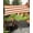 Orange, variant on Blue Stripes Sun Sail Shades Rectangle Canopy,Sunlight Block Heavy Duty Curved Backyard Shade Cover, Simple Blue White Texture Waterproof Sun Shades for Patios Garden Pergola Outdoor 6.5'x10'