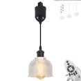 thumbnail image 1 of FSLiving Adjustable Height H Type Track Lighting Remote Control Matte Black Socket Striped Clear Dome Shape Glass Shade 4 Ft Dimmable Pendant Light Decorate for Plant Kitchen Island Customizable, 1 of 9