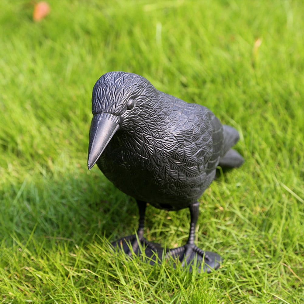 Nuisance Pest Control Deterrent Black Crow Repellent Mice Repeller Bird Decoy 