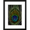 thumbnail image 2 of Peacock tail feather eye of Blue, Framed Art Print Wall Art by Darrell Gulin Sold by Art.Com, 2 of 5