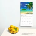 thumbnail image 4 of Tropical Islands | 2024 12x24" 18 Month Wall Calendar | Jul '23 - Dec '24 | Plato, 4 of 8