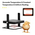 thumbnail image 3 of Mistaha Adjustable Angle Pet Brooder Heater with Hanging Bridge and Heating Insulation Board - Black ABS Material, 13W Power, 55℃ Max. Temperature, 27.4 * 27.4 * 22.6cm Size, 990g Weight - US, 3 of 6