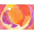 thumbnail image 2 of Roth, Carolyn 24x19 White Modern Wood Framed Museum Art Print Titled - Cabbage Rose V, 2 of 4