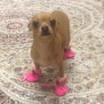 thumbnail image 3 of Hyasfey 4Pcs Non-Slip Pet Dog Boots, Waterproof Soft Shoes for Home or Outdoor Use, 3 of 7