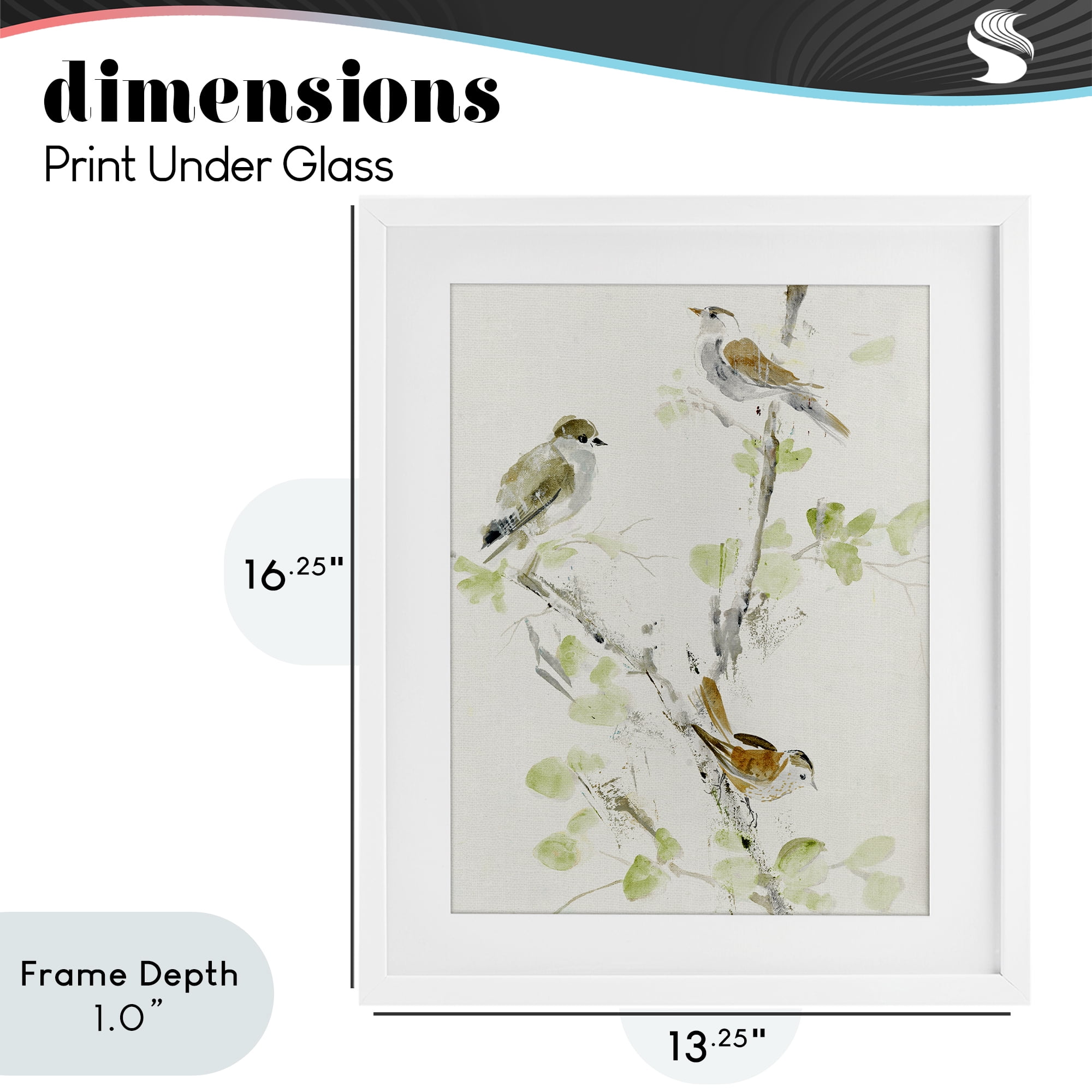 Stupell Industries Delicate Feathers Abstraction White Framed Print Under Glass, design by Lorenzo Collective