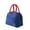 Blue, variant on Tswift Insulated Lunch Bag for Work & office, Leak-Proof Oxford Fabric Cooler Tote, 9"×6"×12" Thermal Bento Box Carrier, Adjustable Strap for Men, Women, teen, Travel & Picnic, 1 Bento Bag