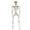 511_White, variant on Halloween Skeleton Decorations 3ft Full Body Posable Skeleton Realistic Plastic Movable Joints For Halloween Party Yard House Props Indoor Outdoor Decor