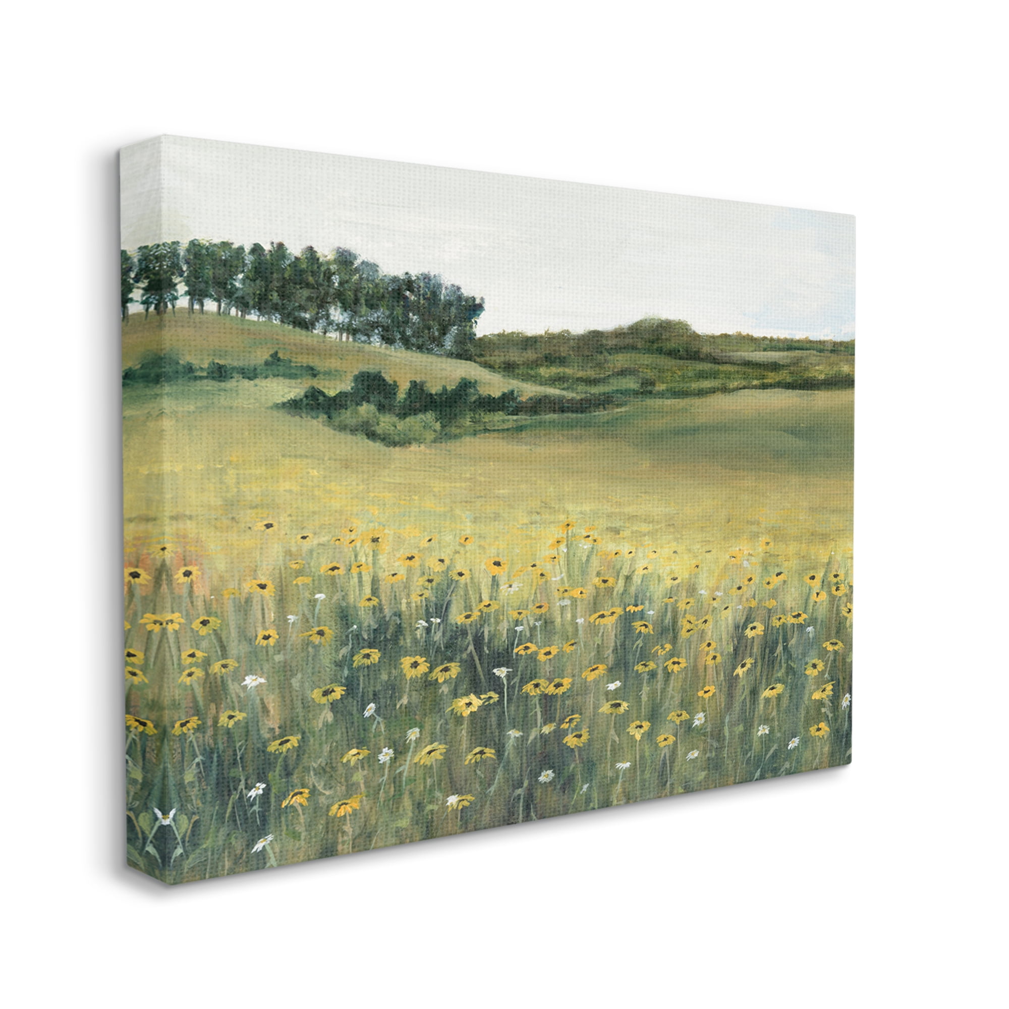 Stupell Industries Rural Daisy Meadow Nature Painting Gallery Wrapped Canvas Print Wall Art, 40 x 30