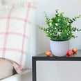 thumbnail image 5 of KGJQ Fresh Artificial Foliage Plants with White Vase Small Artificial Tree for Office Desktop Decor Fake Plants for Home and Office Indoor Decorations, 5 of 8