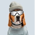 thumbnail image 4 of Nuevas gafas de sol decorativas para mascotas, gafas de osito de peluche, gafas de protección UV para perros Schnauzer Y2K, UV400, 4 of 5