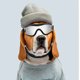 thumbnail image 4 of Nuevas gafas de sol decorativas para mascotas, gafas de osito de peluche, gafas de protección UV para perros Schnauzer Y2K, UV400, 4 of 5