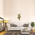 thumbnail image 3 of Global Gallery Albena Hristova 'Ginger Blossom on White' Canvas Wall Art, 3 of 4